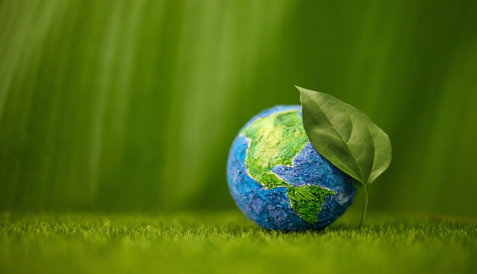 media.ecomondo-2026-hotel-litoraneo-rimini