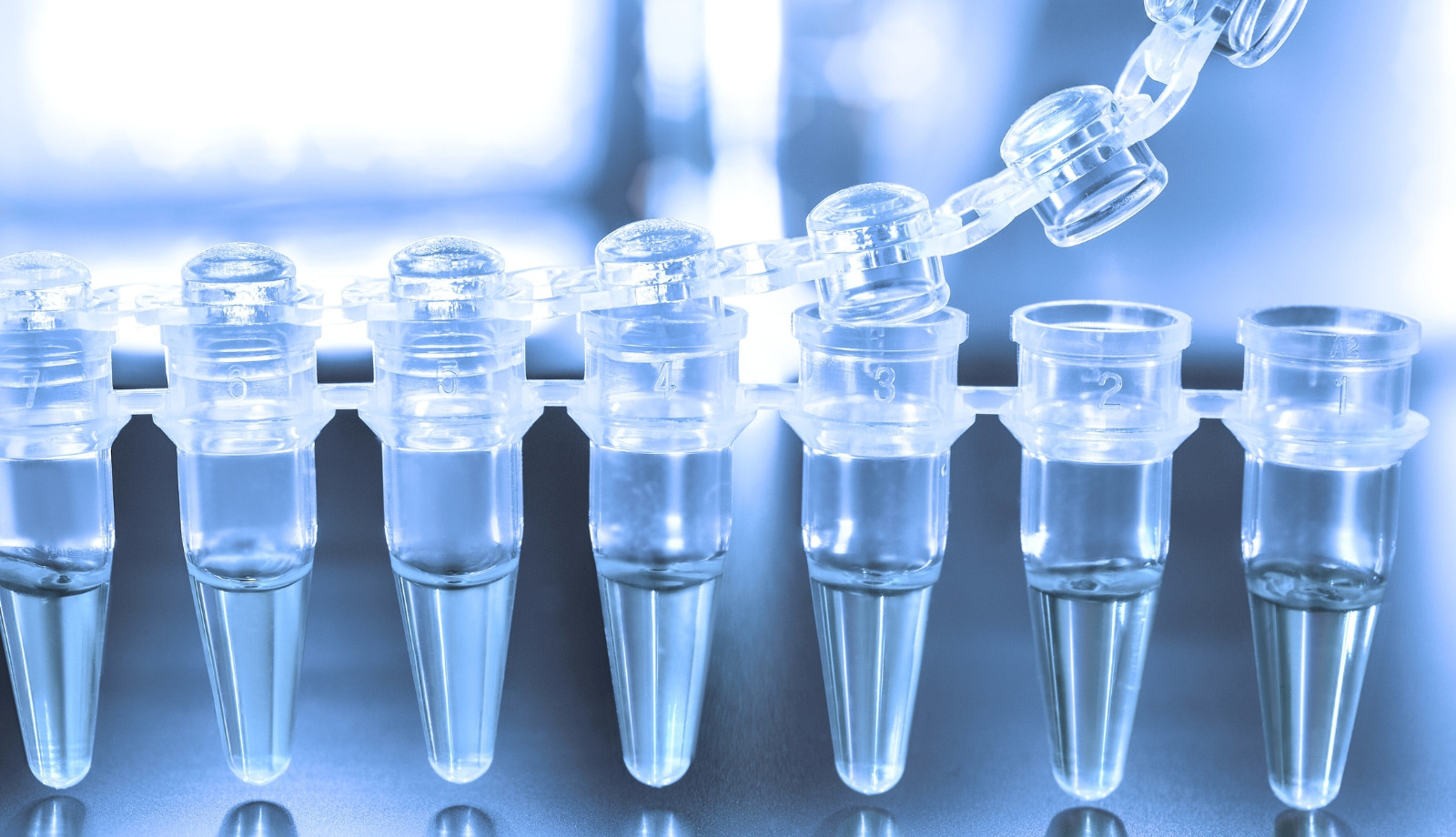 media.amcli-2026-hotel-litoraneo-rimini