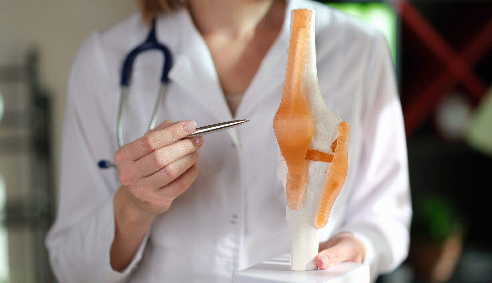 media.sir-2026-hotel-litoraneo-rimini